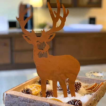 Apartament Harzfewo Köhnke 1 *