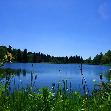 Harzfewo Köhnke 1