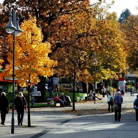 Harzfewo Köhnke 1 Goslar