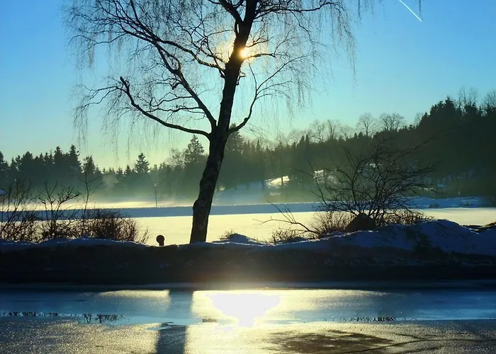 Harzfewo Koehnke 1 戈斯拉尔